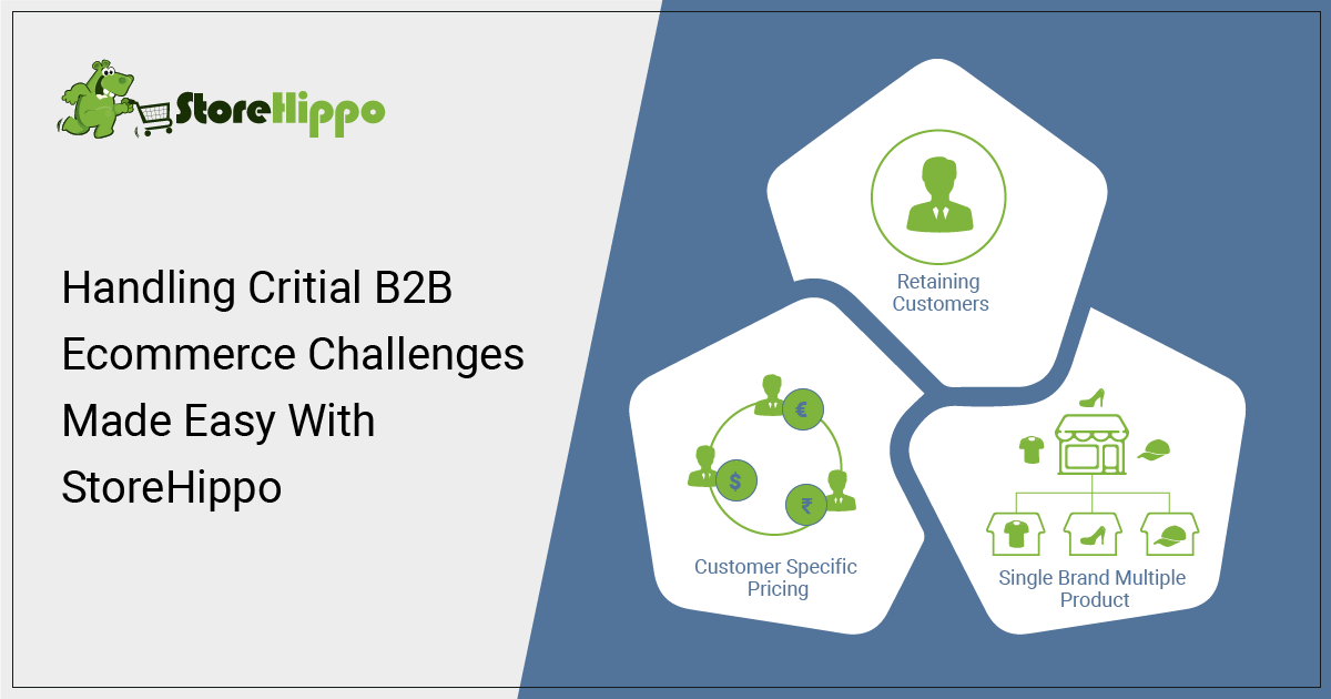 3 Challenges Of B2B Ecommerce And Their Solutions | StoreHippo