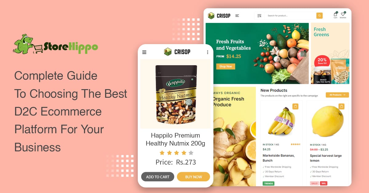 How To Choose The Best D2C Ecommerce Platform For Your Business | StoreHippo