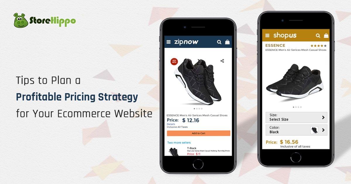 Tips to plan the Pricing Strategy of your e-commerce website | StoreHippo