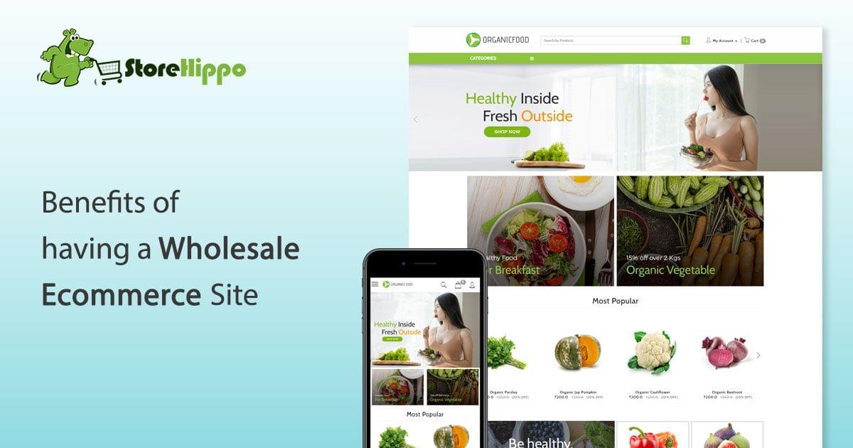 10 reasons to have a B2B website for your Wholesale Business|StoreHippo