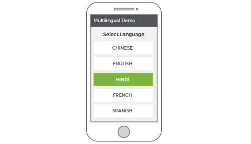 StoreHippo B2C ecommerce platform's inbuilt multilingual support to build multilingual online stores.